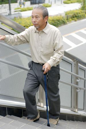 姫路市で評判の高い歯科クリニック